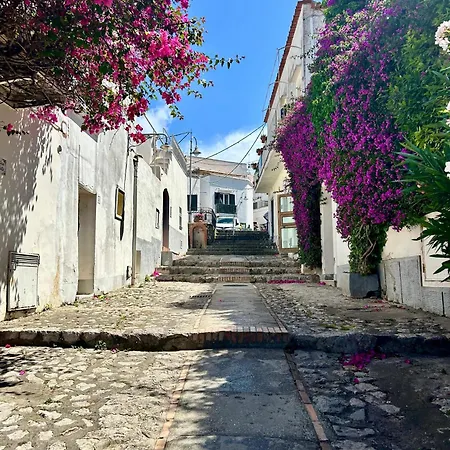 La Casa Di Bubi Apartment *