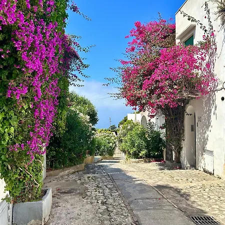 La Casa Di Bubi